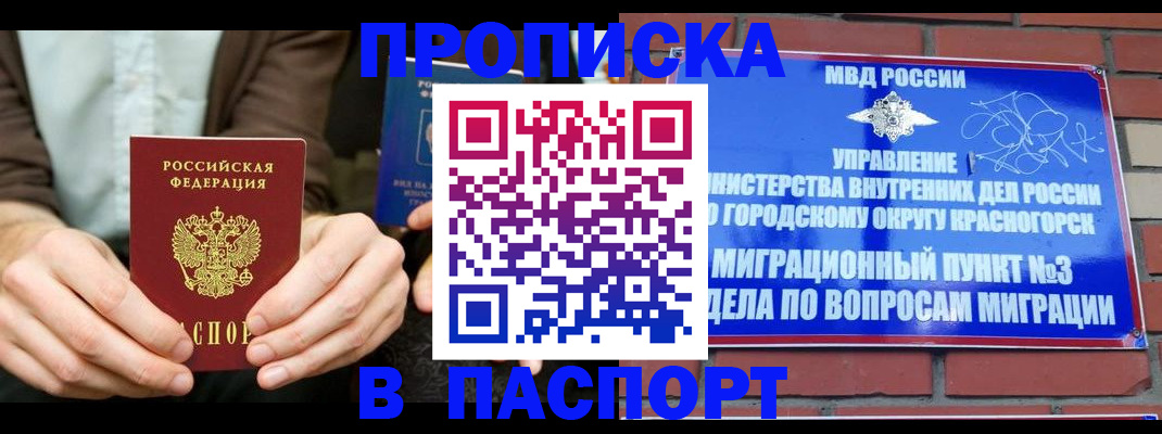 где прописаться в Чудово